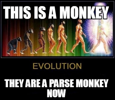 this-is-a-monkey-they-are-a-parse-monkey-now