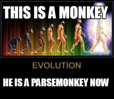 this-is-a-monkey-he-is-a-parsemonkey-now