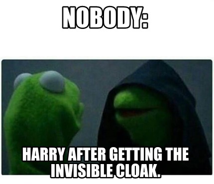 Meme Creator - Funny Nobody: Harry After Getting The Invisible Cloak 