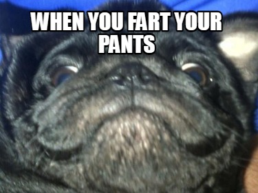 when-you-fart-your-pants