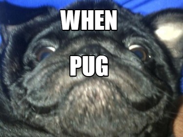 when-pug