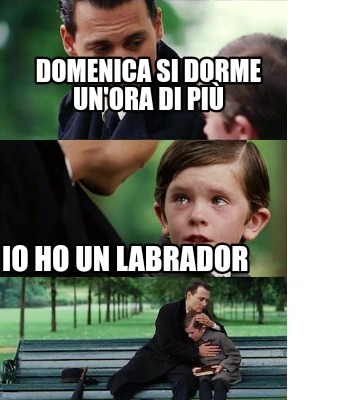 Meme Creator Funny Domenica Si Dorme Un Ora Di Pi Io Ho Un Labrador