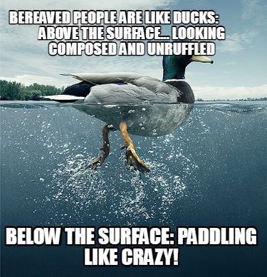 bereaved-people-are-like-ducks-above-the-surface...-looking-composed-and-unruffl