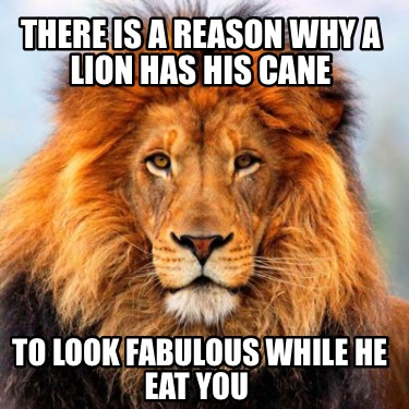 Meme Creator - Funny THERE IS A REASON WHY A LION HAS HIS CANE To look ...