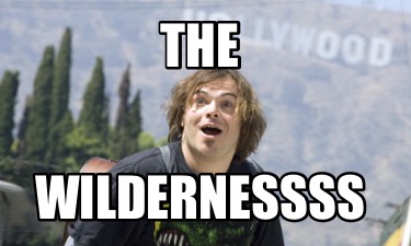 the-wildernessss