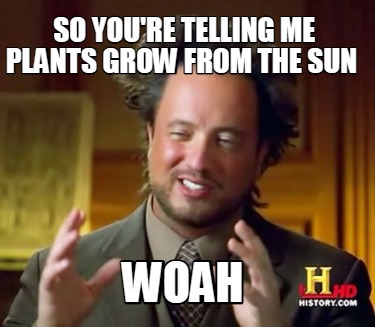 Meme Creator Funny So You Re Telling Me Plants Grow From The Sun Woah Meme Generator At Memecreator Org