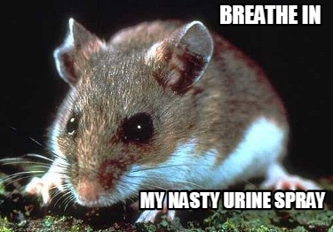 breathe-in-my-nasty-urine-spray