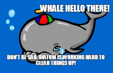 whale-hello-there-dont-be-sad.-diatom-is-working-hard-to-clean-things-up