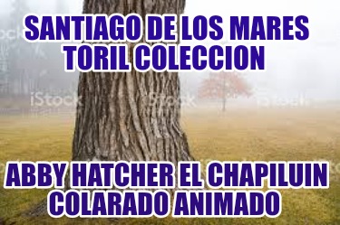 santiago-de-los-mares-toril-coleccion-abby-hatcher-el-chapiluin-colarado-animado716