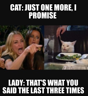 Meme Creator Funny Cat Just One More I Promise Lady That S What You Said The Last Three Times Meme Generator At Memecreator Org