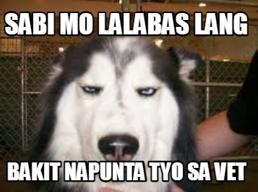 sabi-mo-lalabas-lang-bakit-napunta-tyo-sa-vet