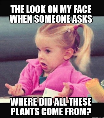 Meme Creator - Funny The look on my face when someone asks Where did ...