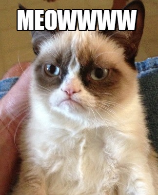 Meme Creator - Funny meowwww Meme Generator at MemeCreator.org!