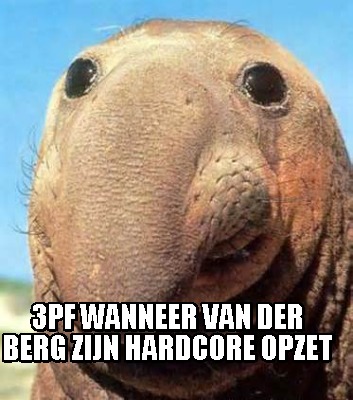 3pf-wanneer-van-der-berg-zijn-hardcore-opzet