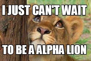 i-just-cant-wait-to-be-a-alpha-lion