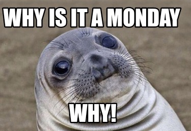 Meme Creator - Funny Why is it a monday WHY! Meme Generator at ...