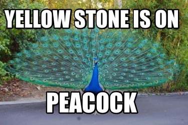 yellow-stone-is-on-peacock