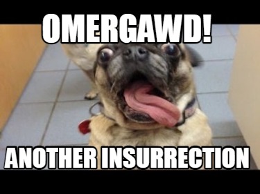 omergawd-another-insurrection