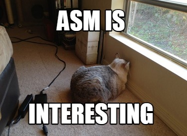 asm-is-interesting