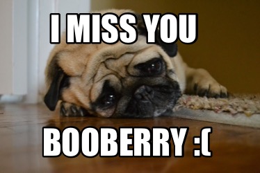 Meme Creator - Funny I miss you Booberry :( Meme Generator at ...