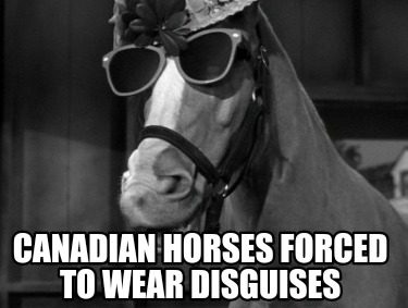 canadian-horses-forced-to-wear-disguises