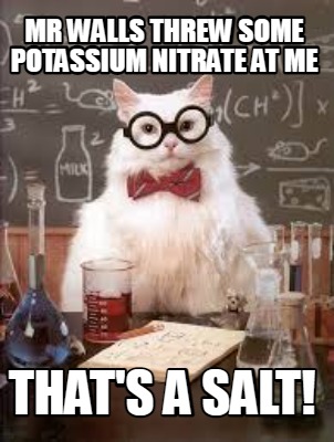 mr-walls-threw-some-potassium-nitrate-at-me-thats-a-salt