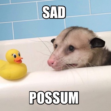 sad-possum