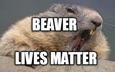 beaver-lives-matter3