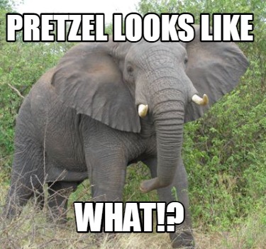 pretzel-looks-like-what