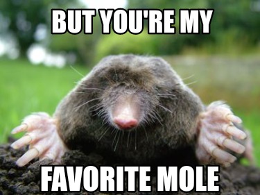 Meme Creator - Funny but you're my favorite mole Meme Generator at ...