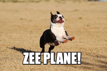 zee-plane