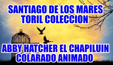 santiago-de-los-mares-toril-coleccion-abby-hatcher-el-chapiluin-colarado-animado1444