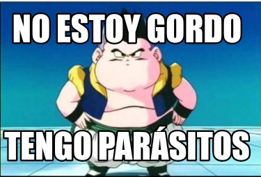 no-estoy-gordo-tengo-parsitos