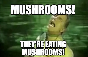 Meme Creator - Funny Mushrooms Theyre eating mushrooms Meme Generator at  MemeCreatororg