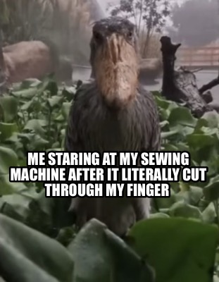 Meme Creator - Funny me staring at my sewing machine after it literally ...