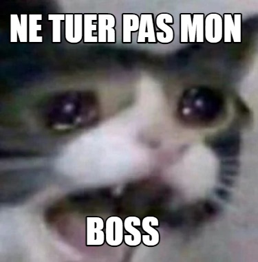 Meme Creator - Funny Ne tuer pas mon BOSS Meme Generator at MemeCreator ...