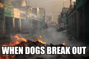 when-dogs-break-out