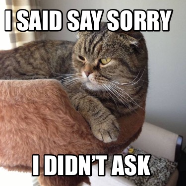 Meme Creator - Funny i said say sorry i didn’t ask Meme Generator at ...