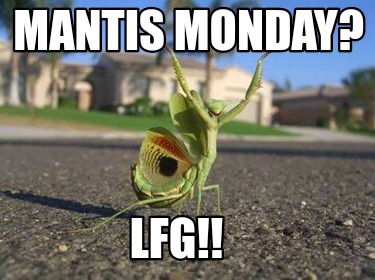 mantis-monday-lfg