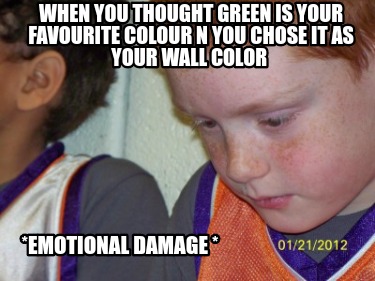 when-you-thought-green-is-your-favourite-colour-n-you-chose-it-as-your-wall-colo