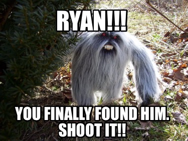 ryan-you-finally-found-him.-shoot-it