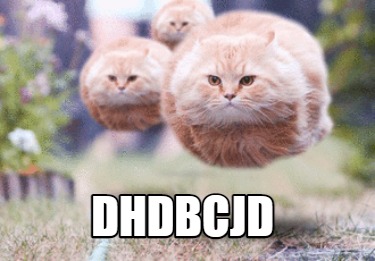 dhdbcjd