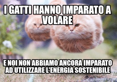 i-gatti-hanno-imparato-a-volare-e-noi-non-abbiamo-ancora-imparato-ad-utilizzare-