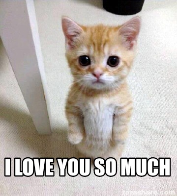 Meme Creator - Funny I love you so much Meme Generator at MemeCreator.org!