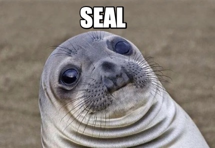 Meme Creator - Funny seal Meme Generator at MemeCreator.org!