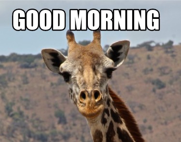 Meme Creator - Funny Good morning Meme Generator at MemeCreator.org!