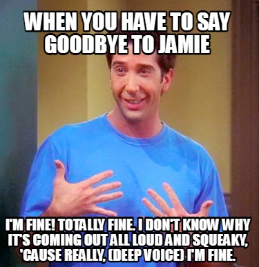 Meme Pisang Goreng Keju