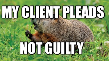 my-client-pleads-not-guilty