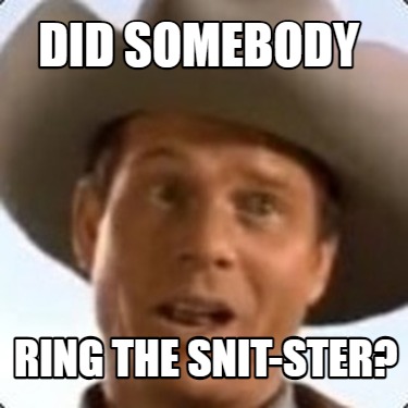 did-somebody-ring-the-snit-ster