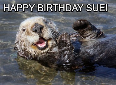 Meme Creator - Funny HAPPY BIRTHDAY SUE! Meme Generator at MemeCreator.org!